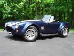 20287Cobra_Driveway-med6.jpeg