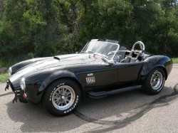 cobra_0104.jpg