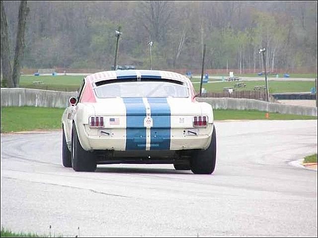 gt350rear