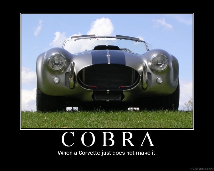 My_Cobra_Poster