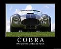 My_Cobra_Poster.jpg