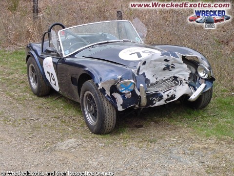 11446AC_Cobra