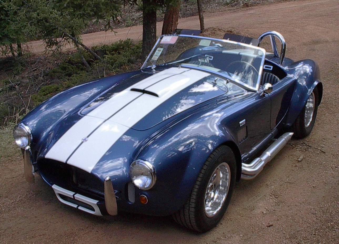 11679cobra_crop1