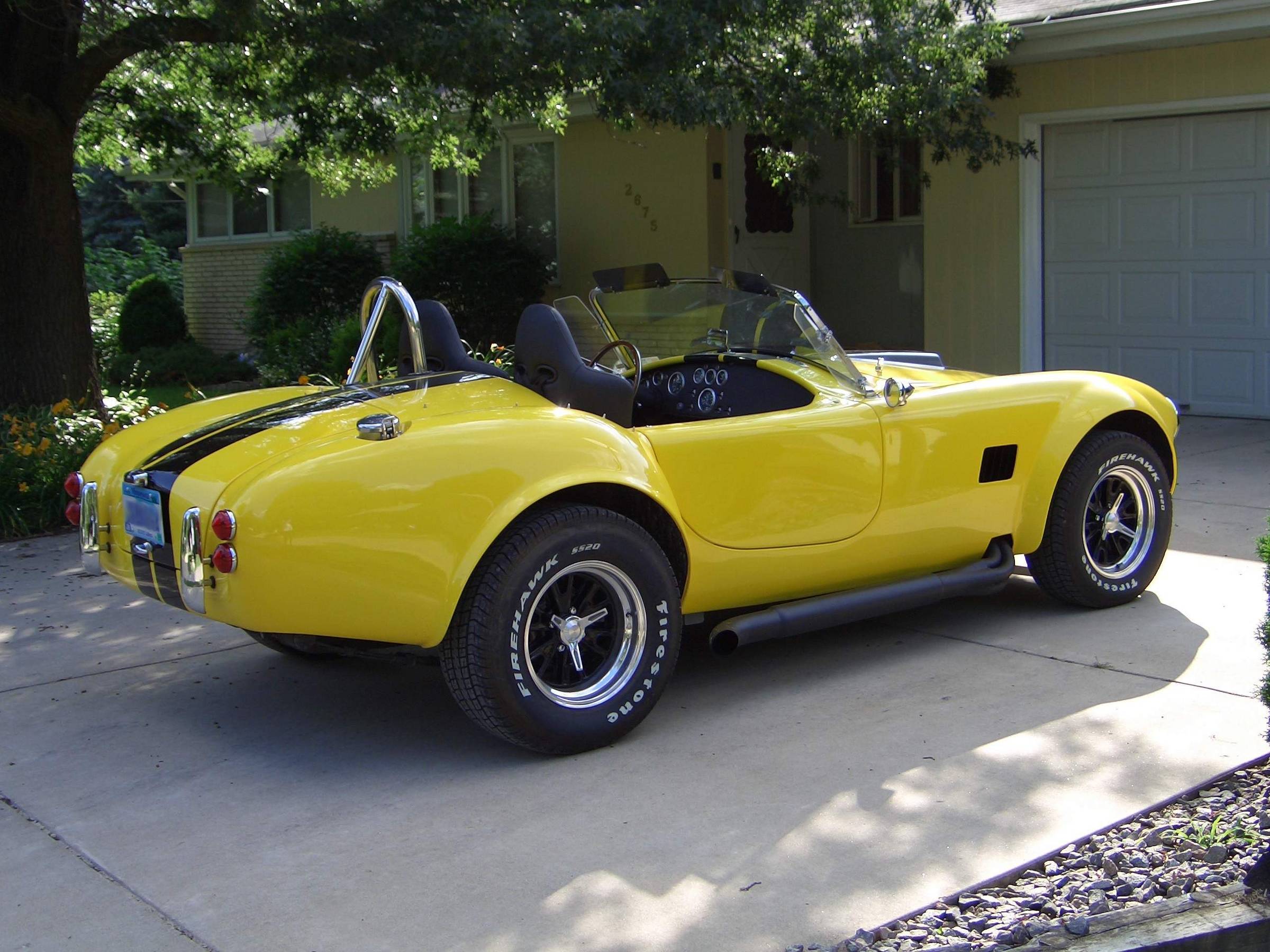 12048yellow_cobra_2