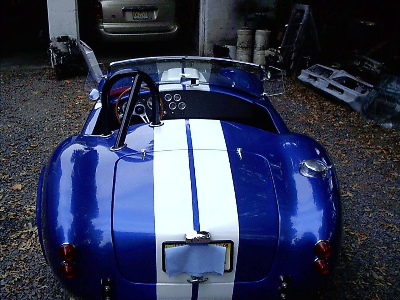 16911cobra_rear