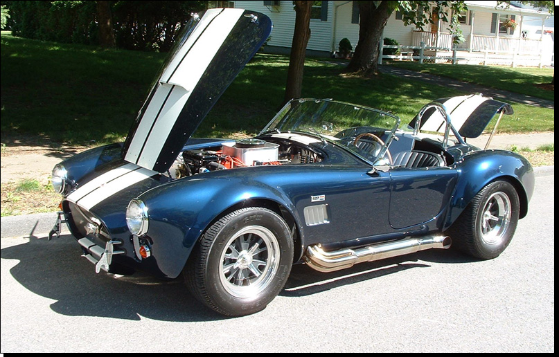 17424cobra