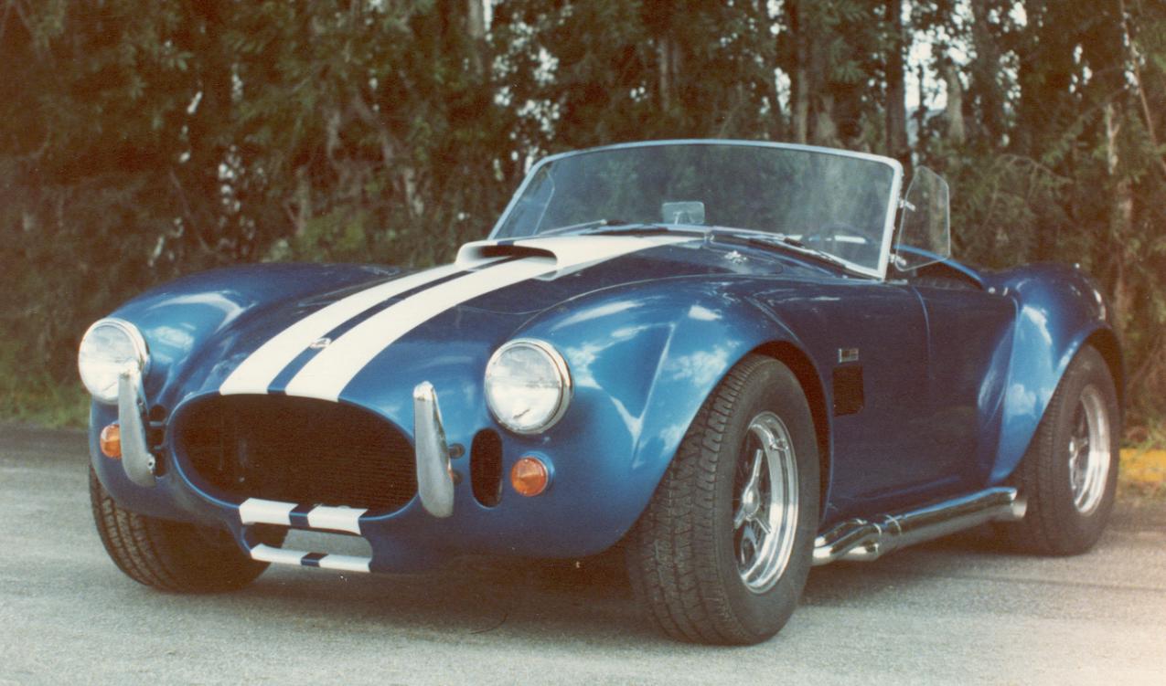 18529427_Cobra