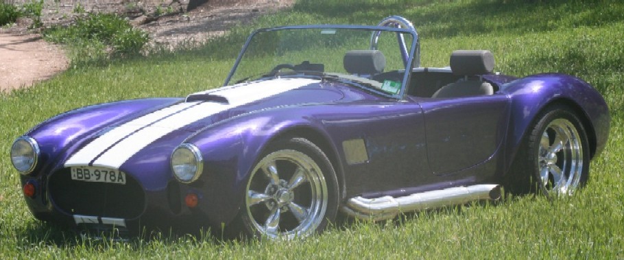 20004Cobra_painted_004