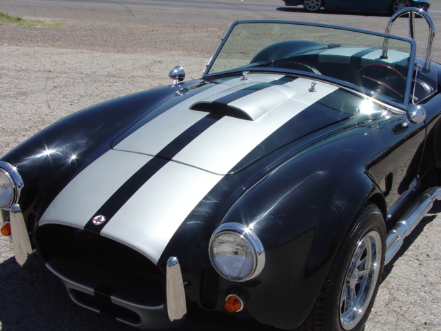 215691966_cobra_done0003