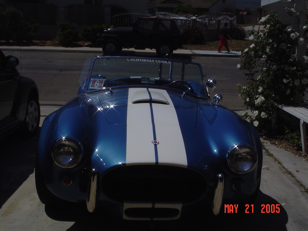 22090Cobra_front_view