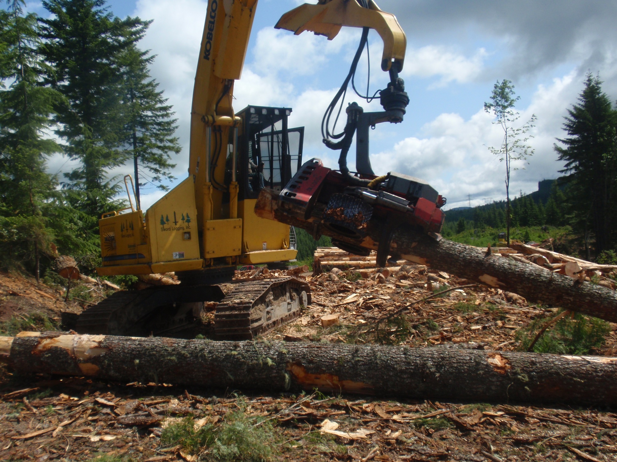 295_logging