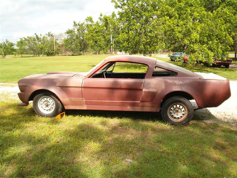 65_Mustang_GT350_clone_project_Medium_