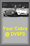 9454but-cobra