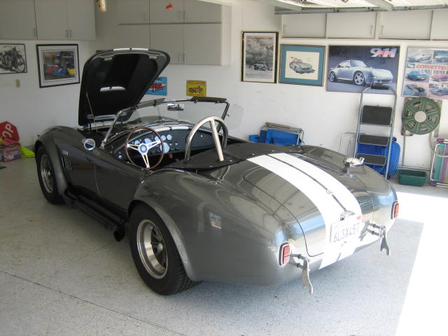 Cobra_Finished_002