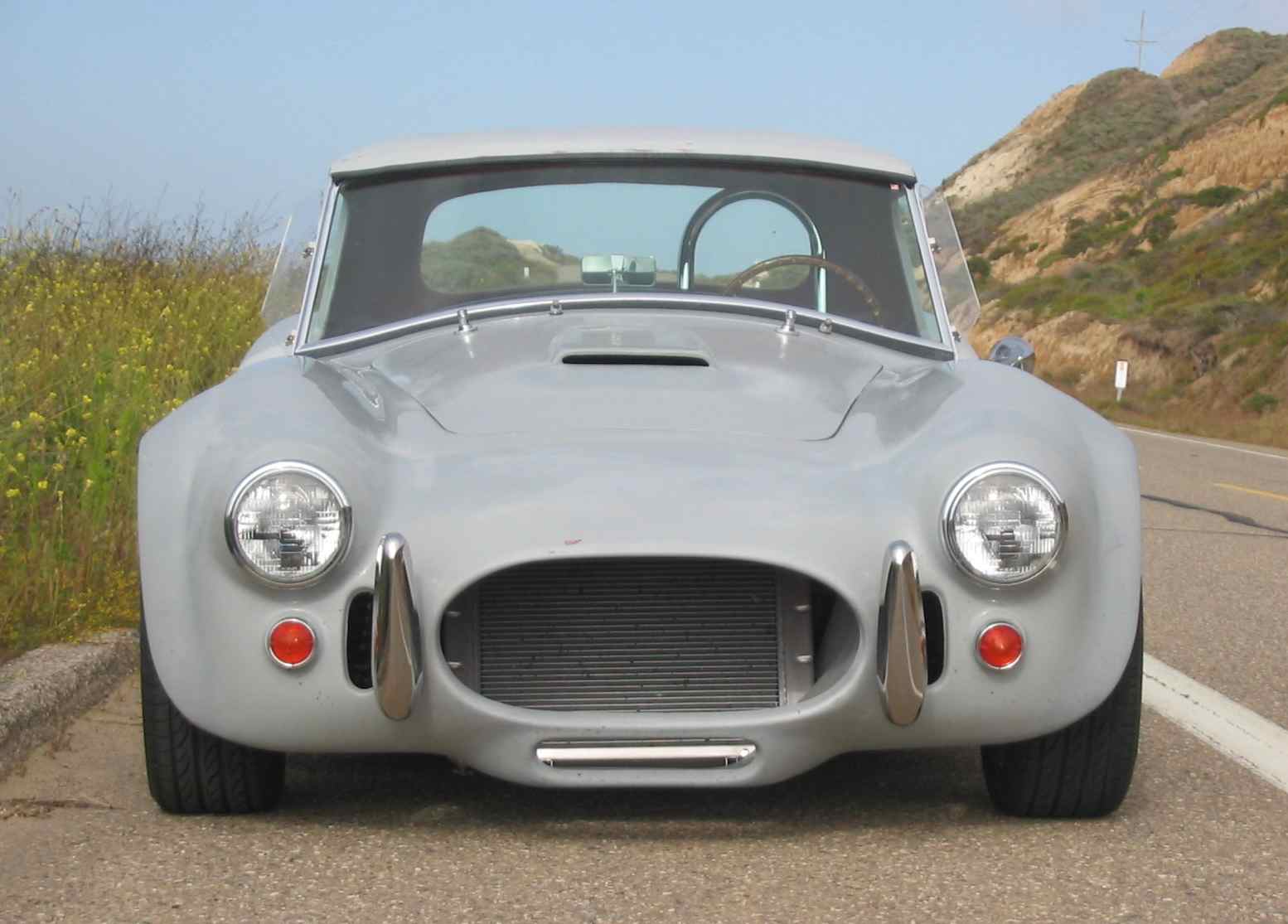 Cobra_WTop_Front