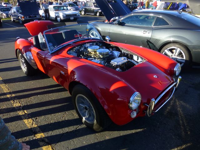 Cobra_at_Car_Show_5