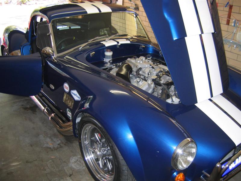 Cobra_in_Garage