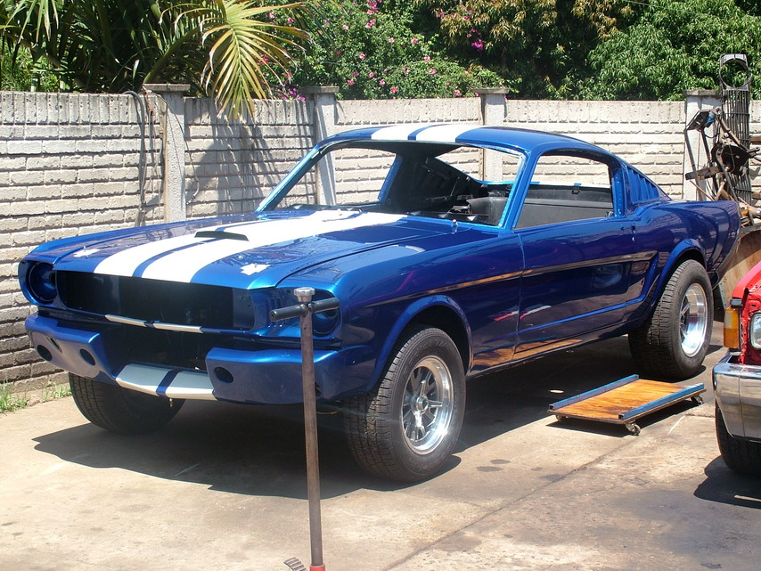 MUstang_pic_2