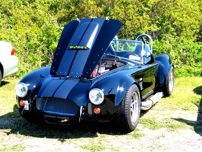 black_cobra1