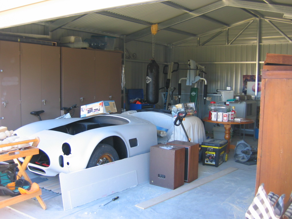 cobra_in_new_shed