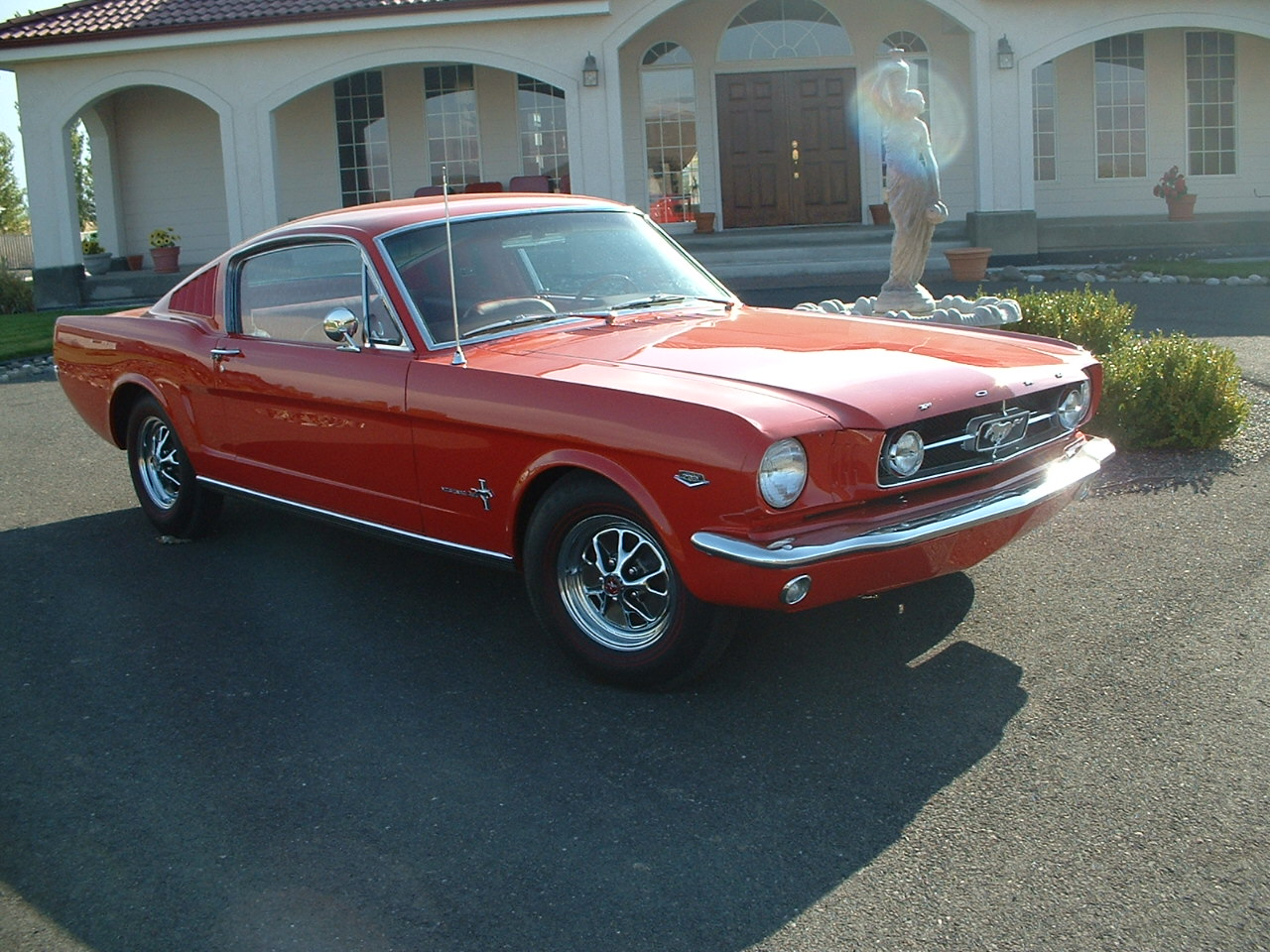 fastback2