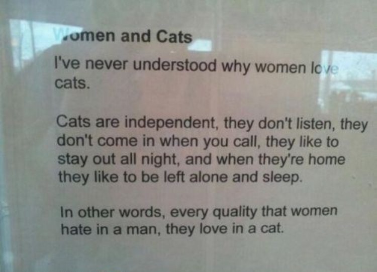 funny-pictures-women-and-cats