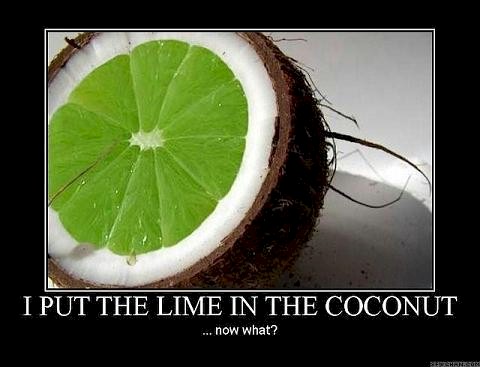 lime_in_the_coconut