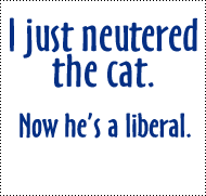 neutered_the_cat