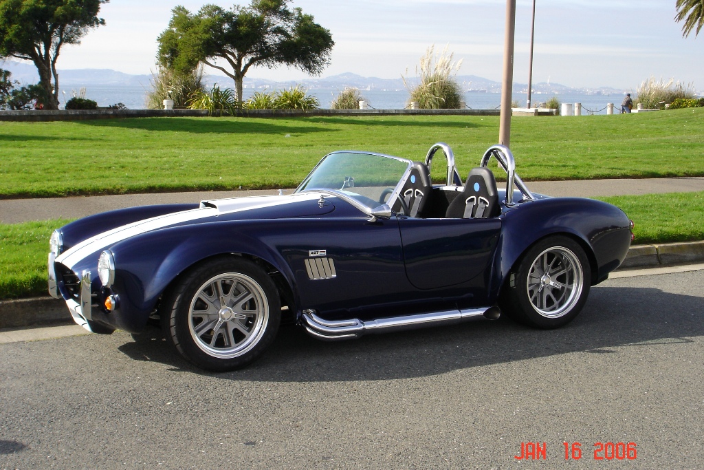 resized_painted_cobra_010